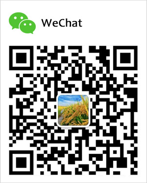 Scan to wechat